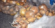 Patates çuvalları arasında eroin sevkiyatı