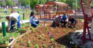 Cadde ve Sokaklar çiçeklerle süsleniyor