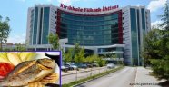 İHTİSAS DA YENMEYEN BALIK ARANIYOR!