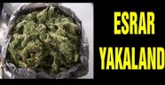 40 Kilo Esrar Ele Geçirildi