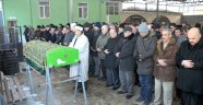 Aksoy’un acı günü