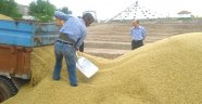 Arpa alımları başladı
