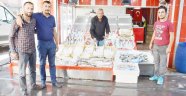 Balıklar tezgahlara indi
