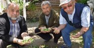  Çiftçileri Dolu Vurdu
