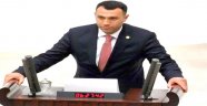 Demokratik tepkilerini ortaya koymuşlardır