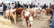 Devletten besicilere destek