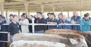 Genç çiftçi projelerinin desteklenmesi