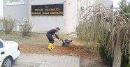 Hayata yeniden tutunacaklar