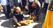 Keskin halkı her şeyin en iyisine layıktır