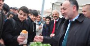 Kırıkkale'de hamsi şenliği