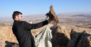 Kırıkkale'de Tedavi Edilen Kızıl Şahin Doğaya Salındı