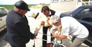 Kostak Profesyonel Yürüteçle Yuvasına Döndü