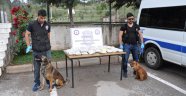 Leydi ve Ares’dan kaçmadı