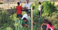 Minik Eller İhtiyaç Sahipleri İçin Sebze Yetiştirdi