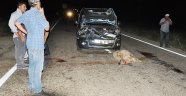 Trafik kazası: 3 yaralı