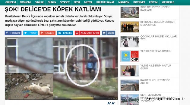 VALİLİK SORUŞTURMA BAŞLATTI