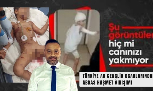 Türkiye'de Başıboş Köpek Sorunu: Abbas Haşmet Yoğun Bakımda
