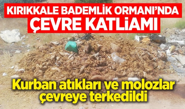 Kırıkkale Bademli Orman'ında çevre katliamı