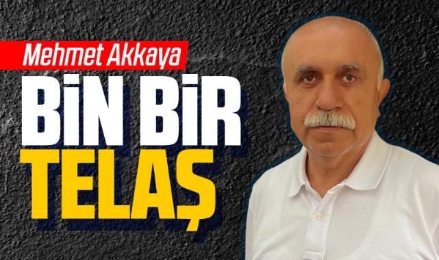 Bin bir telaş