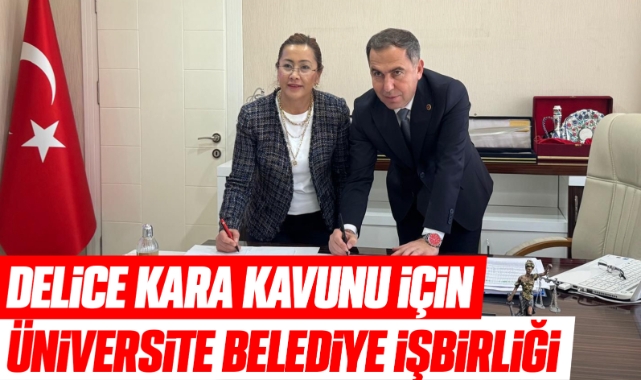 Delice Kara Kavunu İçin Üniversite–Belediye İş Birliği