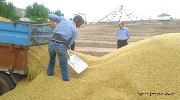 Arpa alımları başladı