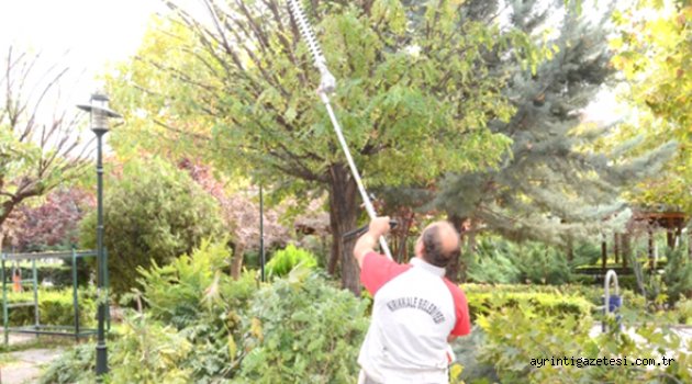 Belediyeden sonbahar çalışması