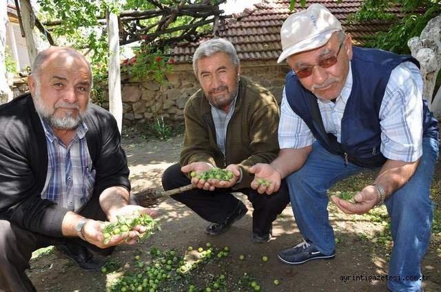  Çiftçileri Dolu Vurdu