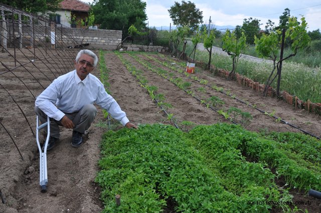 Dilenmedim, çalıştım