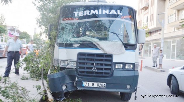 Freni Patlayan Minibüs Ağacı Yıktı