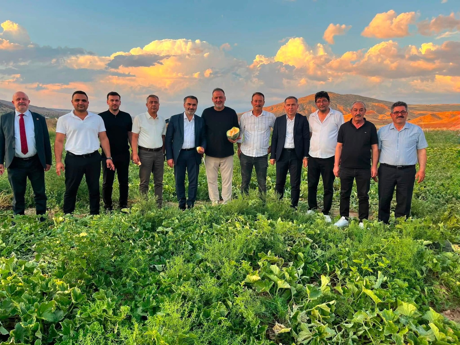 Delice Kara Kavunu Marka Olma Yolunda! İlk Hasat Yapıldı - 3