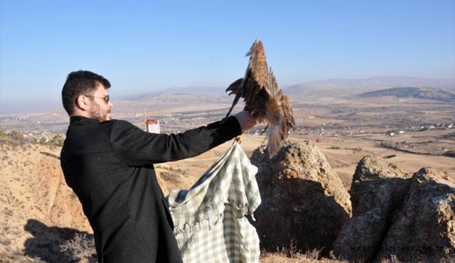 Kırıkkale'de Tedavi Edilen Kızıl Şahin Doğaya Salındı