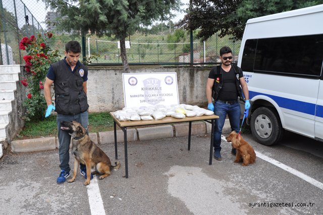 Leydi  ve Ares’dan kaçmadı