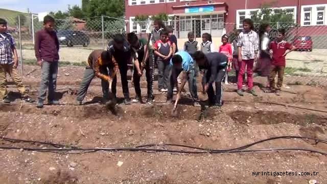 Minik Eller Yardıma Koşuyor
