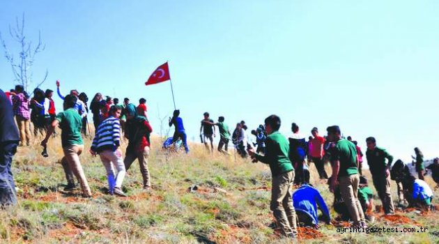 Şehitler anısına 350 fidan toprakla buluşturuldu