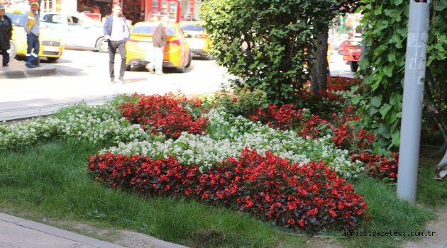 Şehrimiz rengarenk bir görünüme kavuşacak