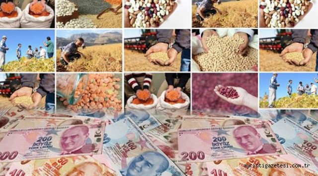 Üreticiye destek