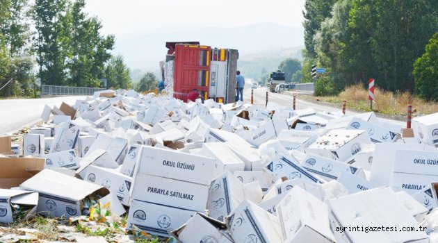 Üzüm taşıyan tır devrildi